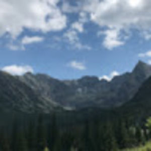 Meet your Posher, Wiesia